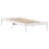 VidaXL vidaXL Bookcase Bed without Mattress Bed White Small Single Solid Wood Pine 5