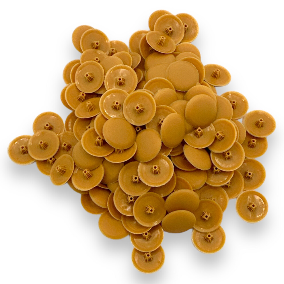 Bifix HONEYMAPLE BROWN  Screw Pozi Phillips Cover Caps - Pack of 50