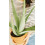Normal Anti-Hair Loss Shampoo 300 ml 3