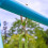 TP Triple Swing Set with Glider 6