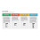 Gator Microzip Sander Kit diverse GRITS 3,5 """" X 1 """" 11
