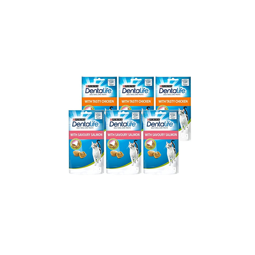 MULTIPLE Dentalife Dental Treats for Cats | Bundle of 6 | Chicken 40g x 3 and Salmon 40g x 3-image-OPC-PFDNBP2-NEW