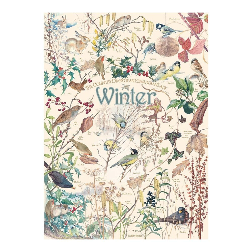 Cobble Hill 1000 Piece Puzzle Birds Country Diary: Winter-Sample Poster Included - Board Game