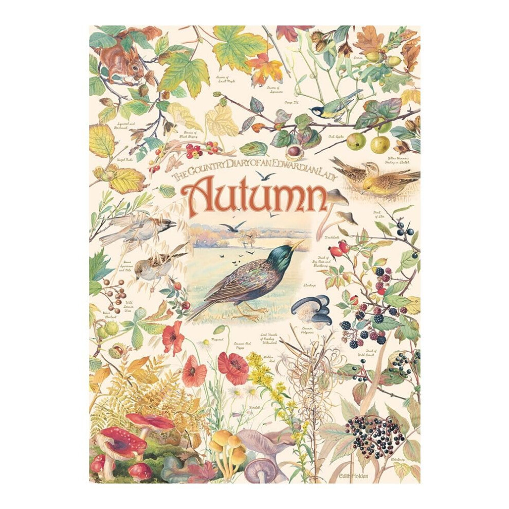 Photos - Jigsaw Puzzle / Mosaic Cobble Hill 1000 Piece Puzzle Country Diary: Autumn-Sample Poster Included 