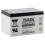 YUASA - 12V 13Ah VRLA Deep Cycle Battery 1