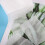 200 Pcs Biodegradable Non-Woven Nursery Bags 8x10cm 31