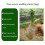 200 Pcs Biodegradable Non-Woven Nursery Bags 8x10cm 6