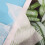 200 Pcs Biodegradable Non-Woven Nursery Bags 8x10cm 32