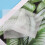 200 Pcs Biodegradable Non-Woven Nursery Bags 8x10cm 50