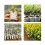 200 Pcs Biodegradable Non-Woven Nursery Bags 8x10cm 8