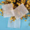 200 Pcs Biodegradable Non-Woven Nursery Bags 8x10cm 16