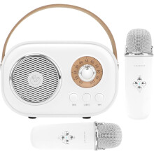 Mini karaoke stroj pre deti Prenosný Bluetooth reproduktor s 2 bezdrôtovými mikrofónmi Hračky pre chlapcov Dievčatá Darčeky