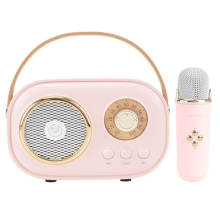 Mini machine de karaoké pour enfants, haut-parleur Bluetooth portable avec microphone sans fil, jouets pour garçons et filles, cadeaux