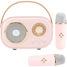 Mini machine de karaoké pour enfants, haut-parleur Bluetooth portable avec 2 microphones sans fil, jouets pour garçons et filles, cadeaux