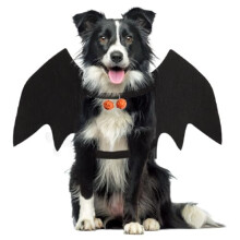 Dog Bat Costume, Pet Dog Wings Adjustable, Dog Bat Wings with Pumpkin Bell, Dog Halloween Costumes for Small Medium Large Dogs, Funny Halloween Party