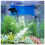 SeeShelter Betta Tunnel (Translucent Lagunblå) 1