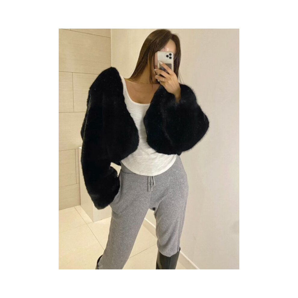 (S, Black) Winter Coat for Women 2024 Faux Fur Coat Short Thickened Fashion Fur J
