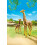 PLAYMOBIL Playmobil Giraffe with Calf Building Kit 2
