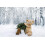 Steiff Steiff Charly Dangling Teddy Bear Plush, Brown, 30cm 5