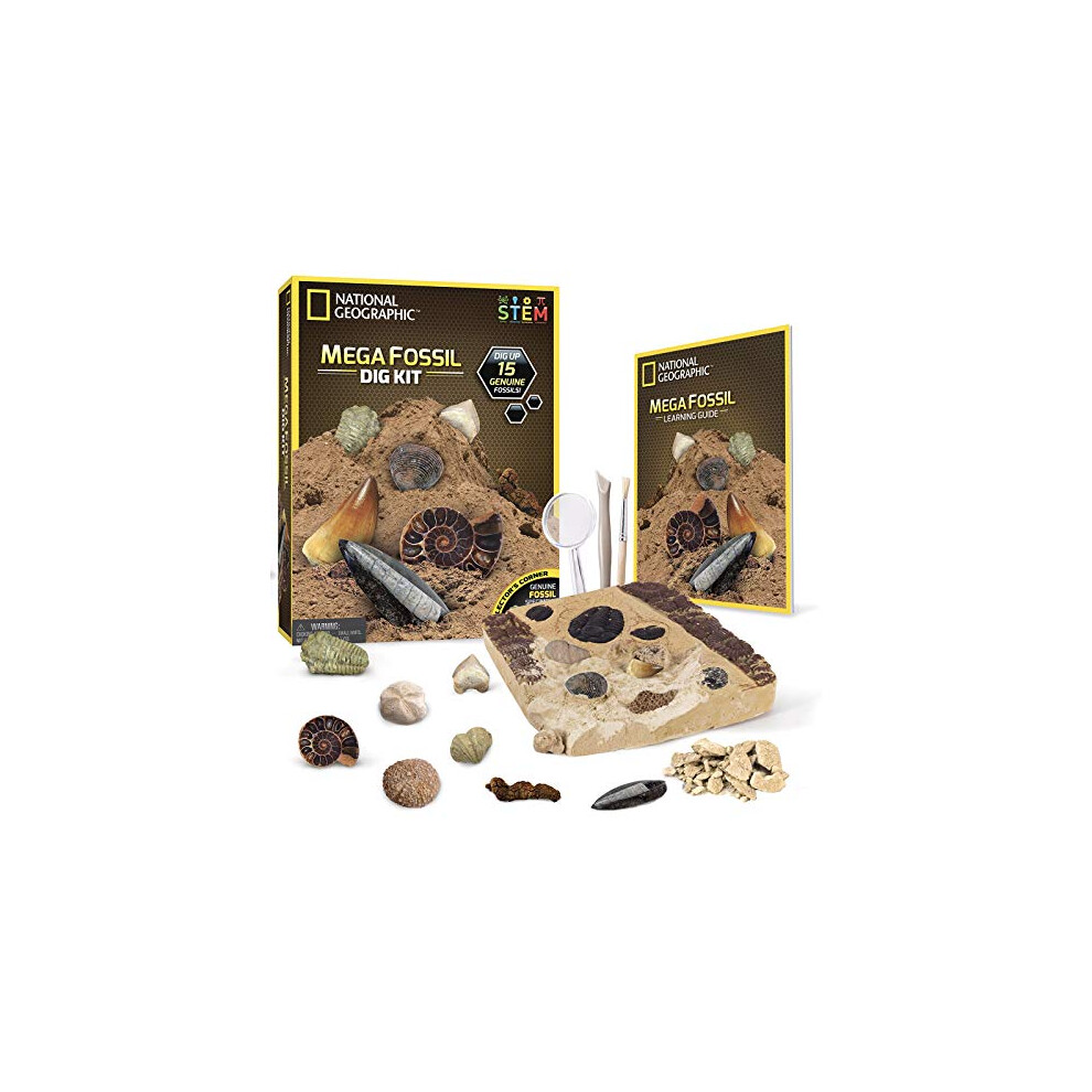 NATIONAL GEOGRAPHIC Mega Fossil Dig Kit  Excavate 15 Real Fossils Including Dinosaur Bones & Shark Teeth, Educational Toys, Great Gift for Girls and