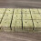 50pcs Soilless Rock Wool Blocks for Hydroponics, 40x40x40mm 13