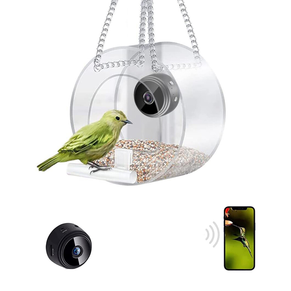 (A) Smart Bird Feeder with Camera for Day and Night Viewing