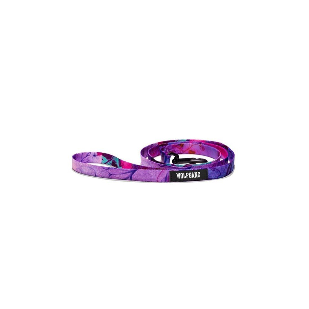 Photos - Dog Clothing Wolfgang 8101646 4 in. Multi Color Day Dream Polyester Dog Leash, Small & Medium