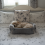 AllPetSolutions Alfie Dog Sofa Bed in Grey - 3 Way Use 8