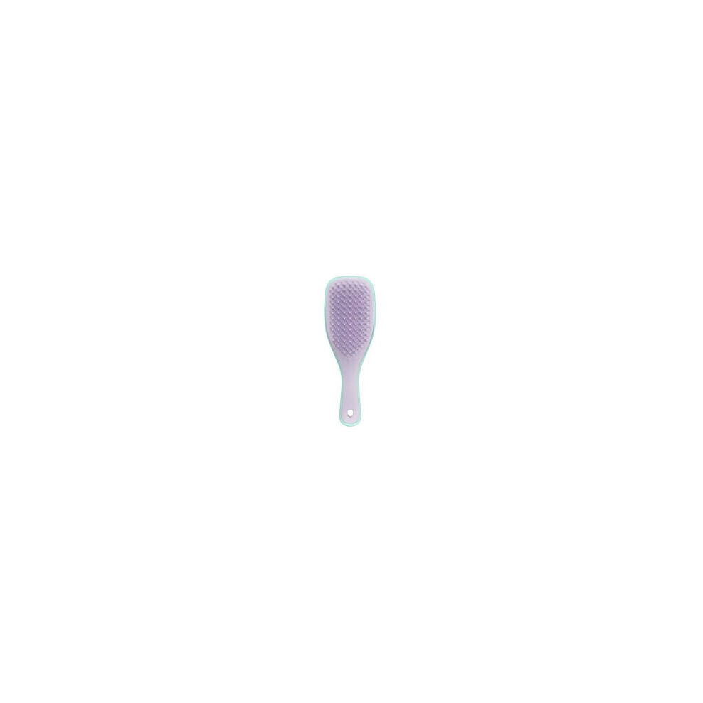 Tangle Teezer - Wet Detangler Mini Mint/Lilac - Kartáč na vlasy