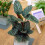 Gardeners Dream Calathea Ornata (14cm) V3 1