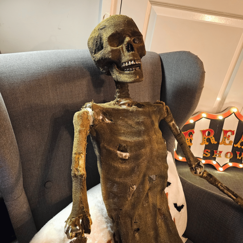 Samuel Alexander 5ft Full Body Halloween Mummified Skeleton with Posable Joints 1
