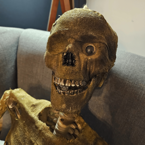 Samuel Alexander 5ft Full Body Halloween Mummified Skeleton with Posable Joints 2