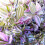 Gardeners Dream Tradescantia Zebrina (12cm) 3