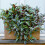 Gardeners Dream Tradescantia Zebrina (12cm) V2 2