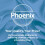 Phoenix Phoenix Soft Quilted 3 Ply 24 Toilet Rolls Unscented 6
