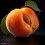 (50ml) Apricot High Strength Professional Flavouring. 1