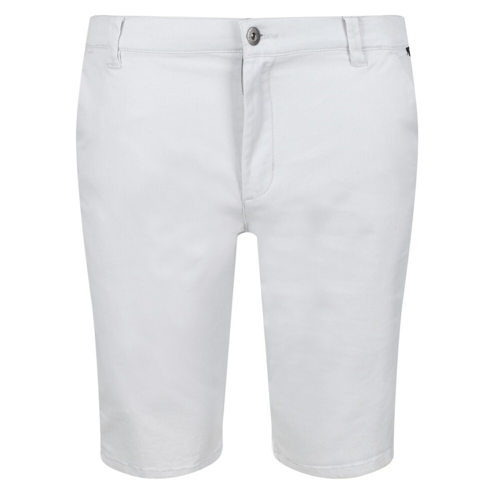 (32R, Silver Grey) Regatta Mens Sandros Shorts