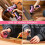 Tool Kit: DEKO Tool Set Box with 8V Cordless Drill, Pink Hand Tool Kit 8