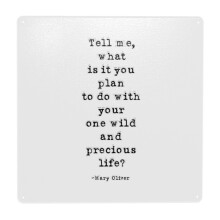 (Tell Me What Is It You Plan To Do With Your One Wild And Precious Life, Mary Oliver Quote, Inspirati) Metal Tin Sign 12x12" Wall Décor Cafe Bar Beer Pub Signs Christmas Gift