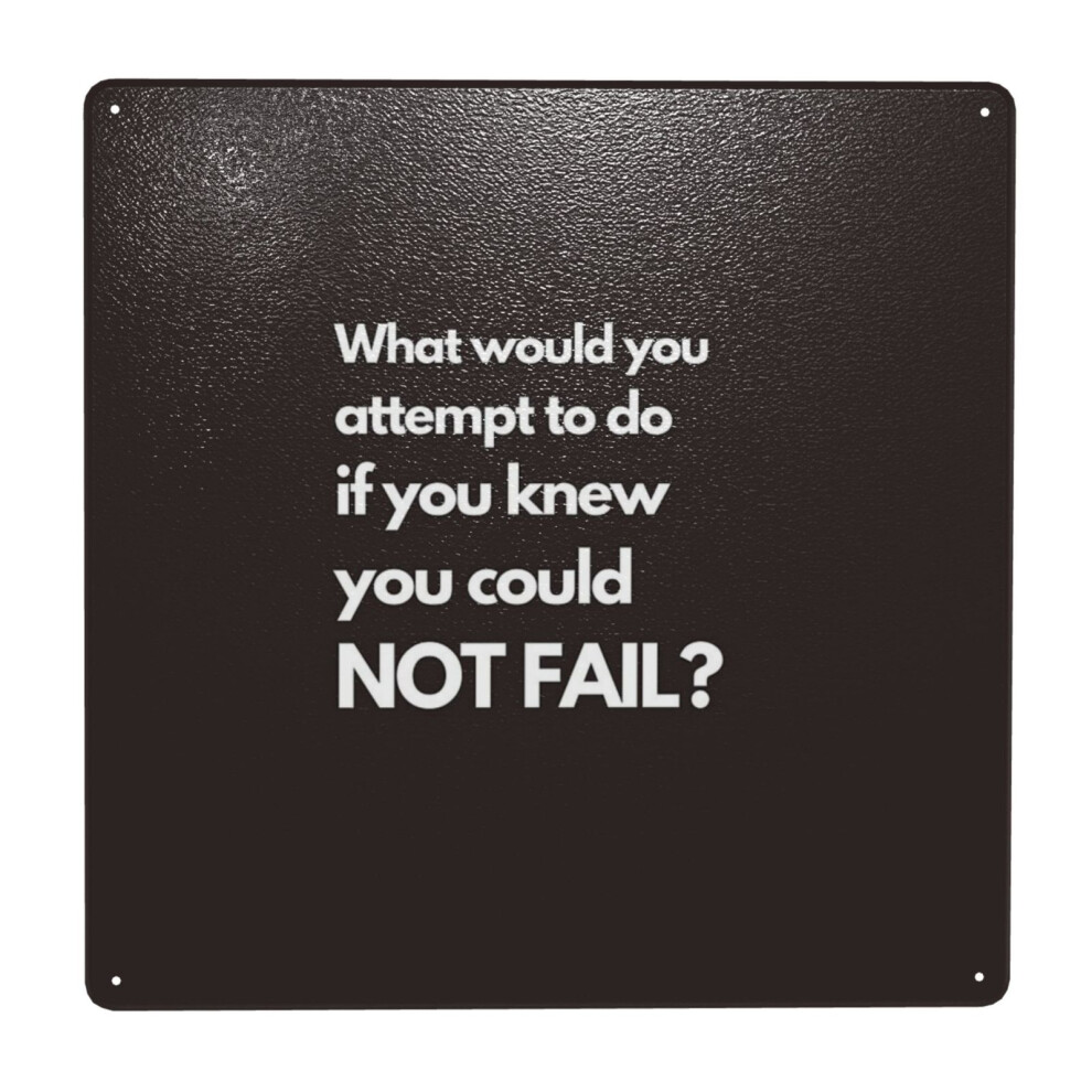 Whibos (What Would You Attempt To Do, If You Knew, You Could Not Fail=1233) Metal Tin Sign 12X12" Wall Dã©Cor Cafe Bar Beer Pub Signs Christmas Gift