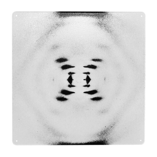 (Rosalind Franklin's B-Form X-ray Of DNA, 1952, Diffraction Photo=32 ...