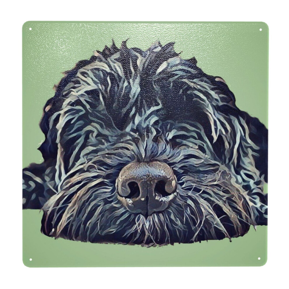 (Cockapoo Pop Art - Green=8087) Metal Tin Sign 12x12" Wall Décor Cafe Bar Beer Pub Signs Christmas Gift