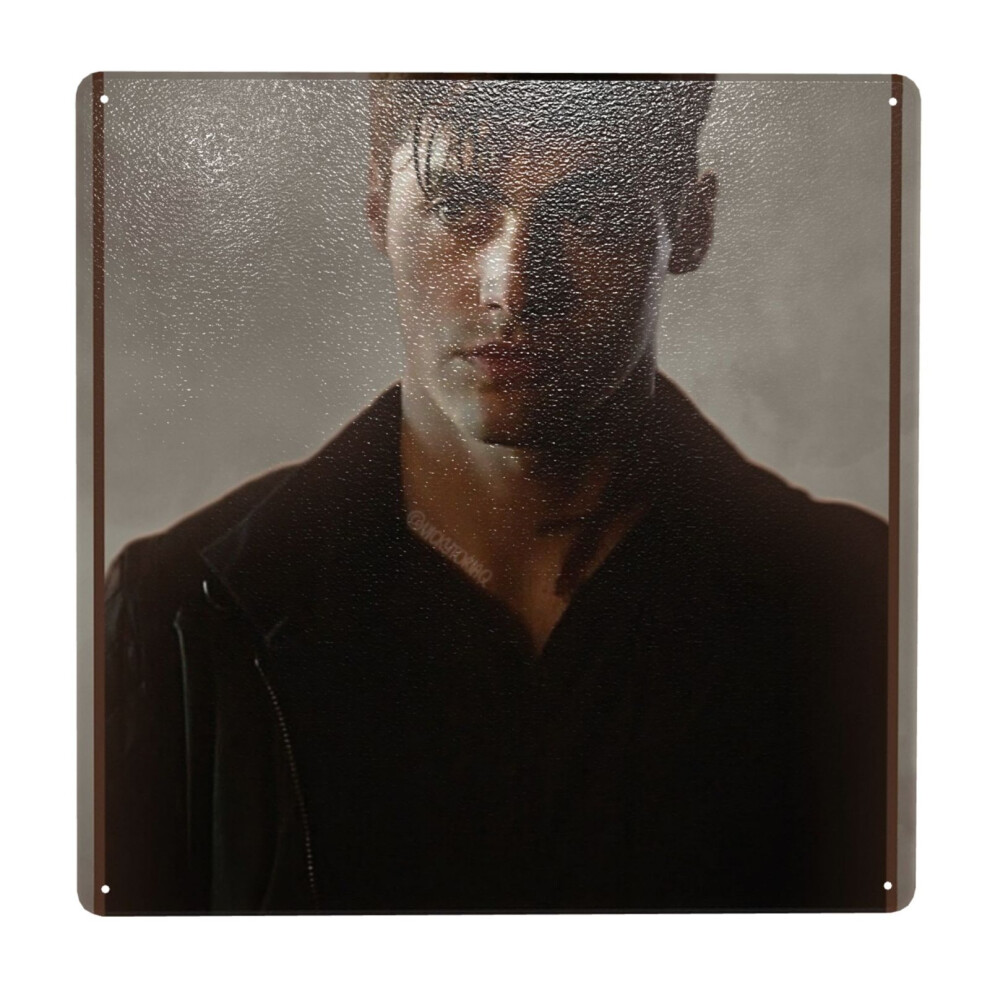 Whibos (Alec Lightwood - Season One - Shadowhunters=7726) Metal Tin Sign 12X12" Wall Dã©Cor Cafe Bar Beer Pub Signs Christmas Gift
