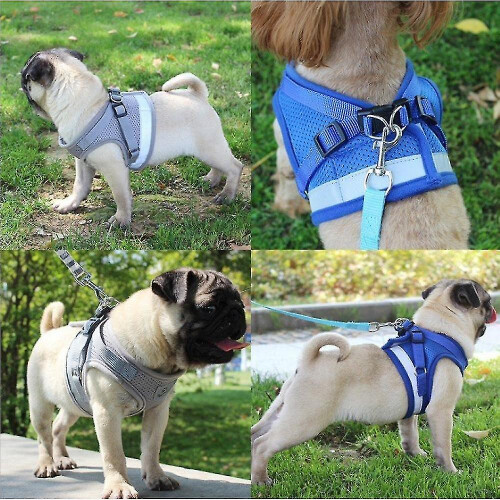 (XL) Cat Harness Escape Proofcat Harness 2