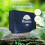 Phoenix Phoenix Soft Luxury Facial Tissues - Bulk Buy 24 Boxes 1