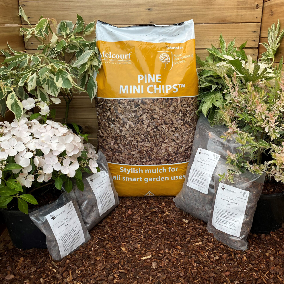 Melcourt Bark Pine Mini Chips -Hortus Planta -  5ltrs