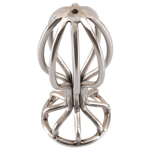 Metal Cage Butt Plug 2