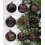 Premier 9 Decorated Purple Plum Christmas Tree Baubles Decorations Tree 6cm 1