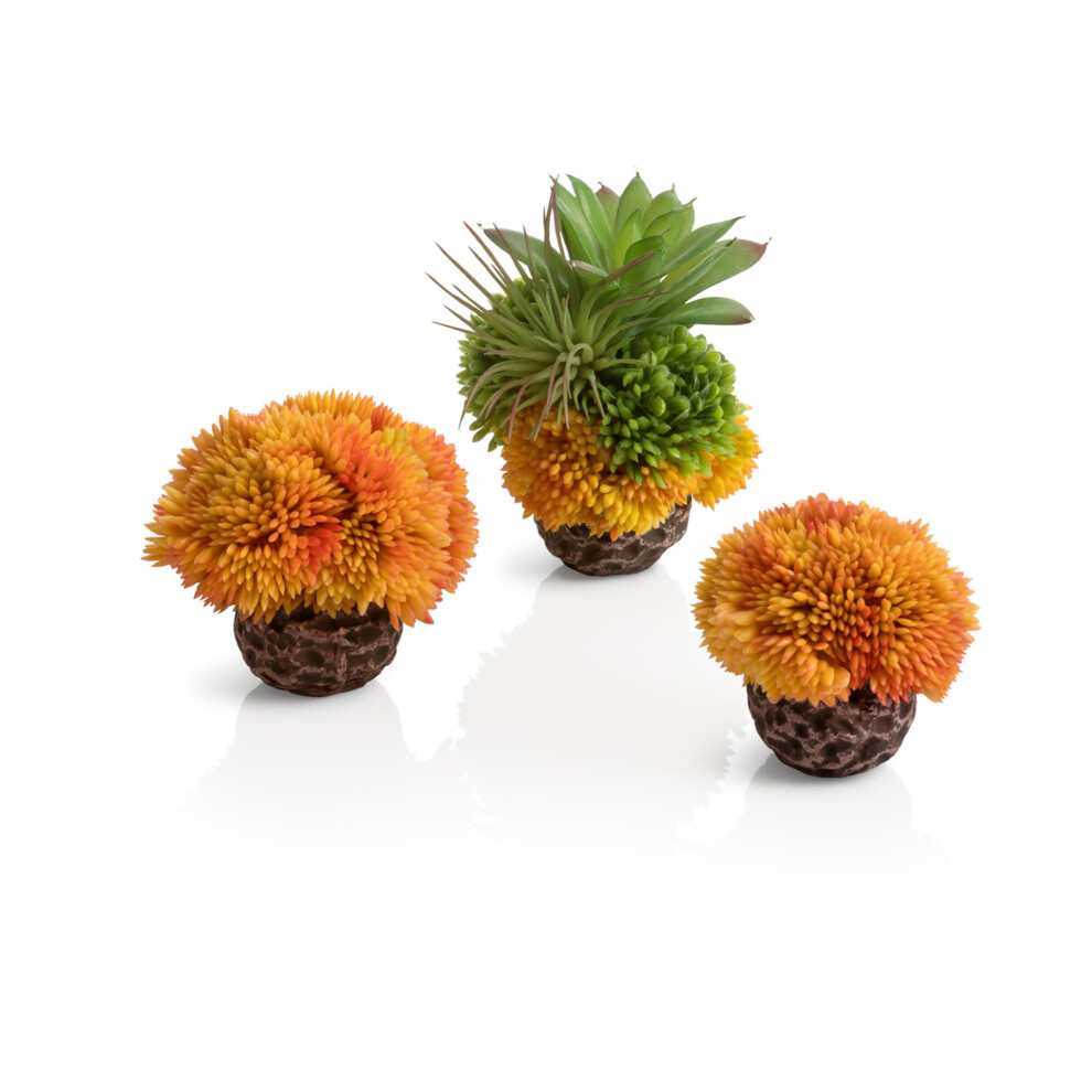 (Orange) Oase biOrb Aquarium Decorative Coral Ball Set