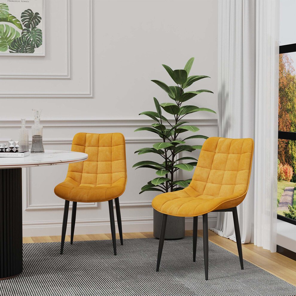 More4homes (Mustard, 8) Nova Modern Velvet Dining Chair Padded Seat Metal Legs